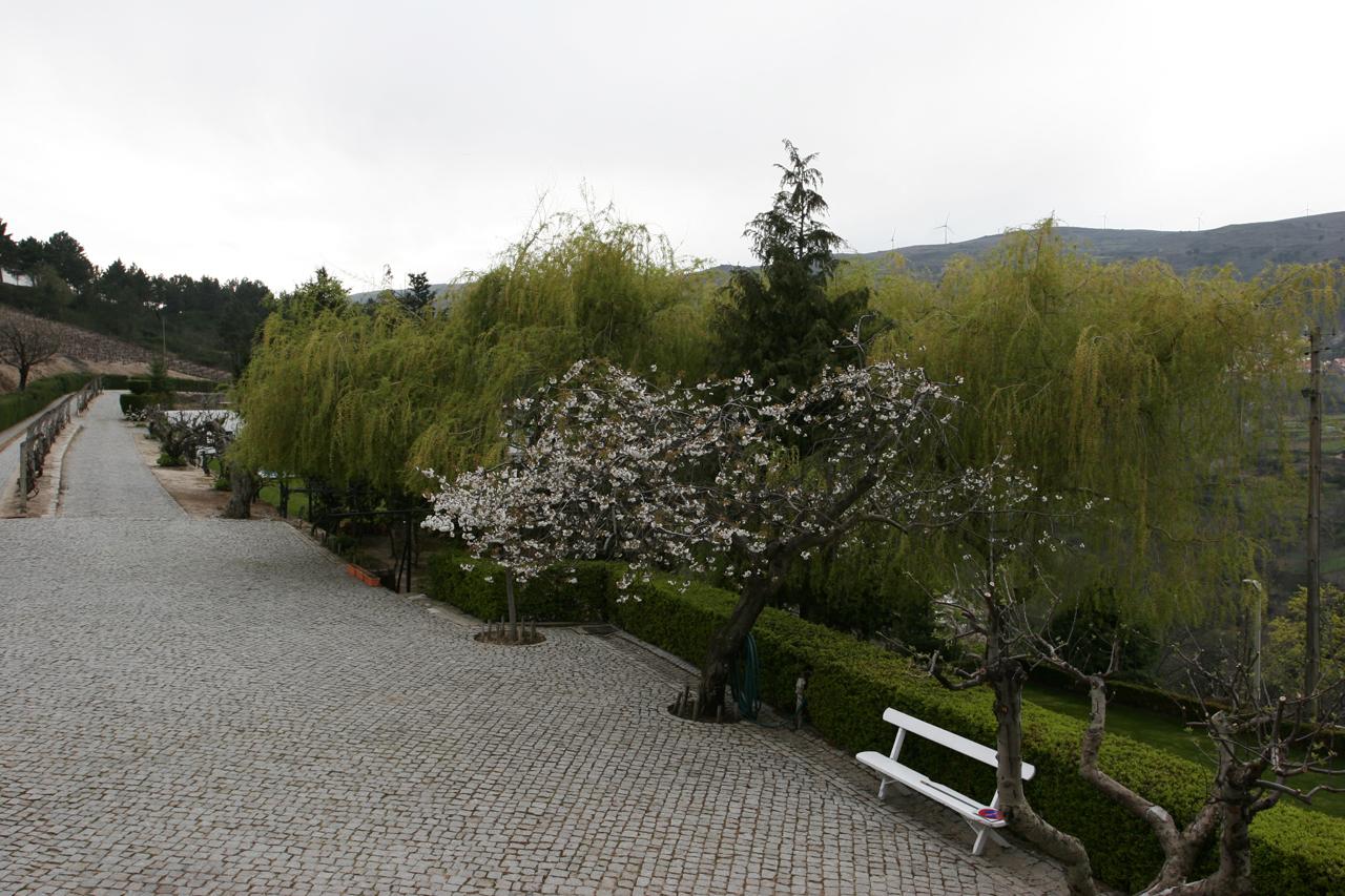 Quinta Da Timpeira Hotel Lamego Ngoại thất bức ảnh